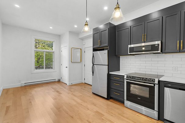 Condo for rent, Montréal (Le Plateau-Mont-Royal) - Photo 1