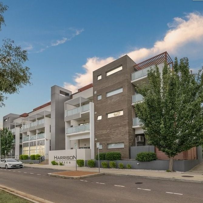49/11 Wimmera Street, Harrison ACT 2914 - Apartment For Rent | Domain - Photo 1