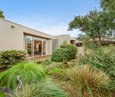 4 Gillard Street, Brighton East VIC 3187 - House For Rent | Domain - Photo 6