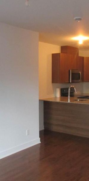 4 1/2 Plateau Mont Royal - Photo 1