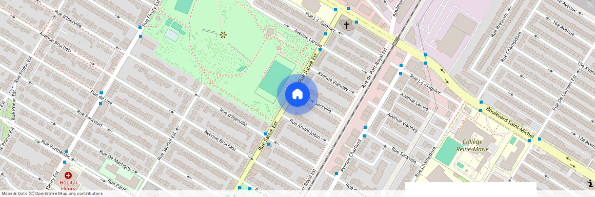 2596 Rue Sauvé E. H2B1C3, Montreal