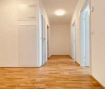 Erstbezug - Moderne Drei-Zimmer-Wohnung in Krems mit geräumiger Ter... - Foto 6