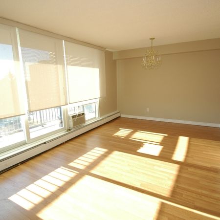 2 bedroom unit close to Cite Collegiale and Ogilvie/Bathgate - Photo 4