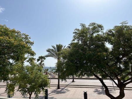 Carrer Martín Ros García, 18, 07181 Torrenova, Illes Balears, Spain, Torrenova, Balearic Islands 07150 - Photo 5