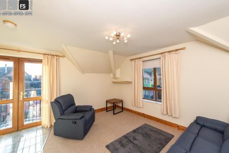 Unit 19, Annadale Mews, Belfast, BT7 3LR - Photo 4