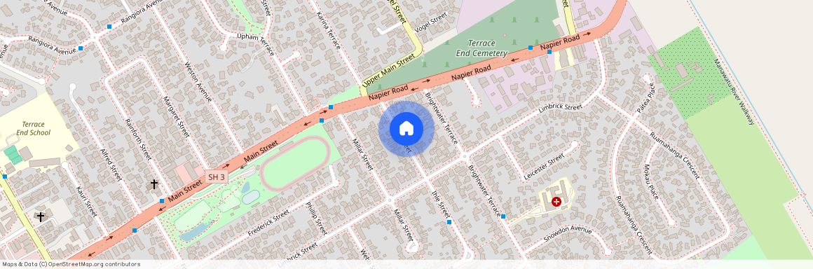 17 Ihle Street, Terrace End, Palmerston North City