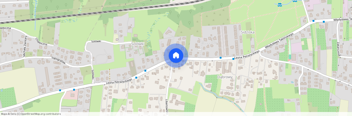 ul. Leona Petrażyckiego, Opatkowice, Swoszowice, Kraków, małopolskie