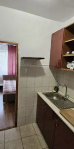 Garsoniera Lipovei - Fotografie 3