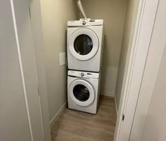 Modern 1BR/In suite laundry/SS appliances/On site management/No pets - Photo 3