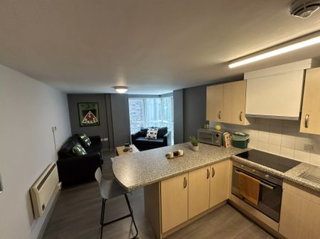 Large Highest Double Studio - Photo 4