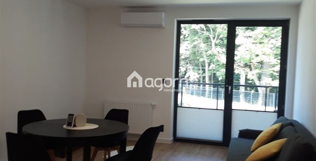 Bielsko-Biała, Kamienica Mieszkanie na wynajem - Zdjęcie 1