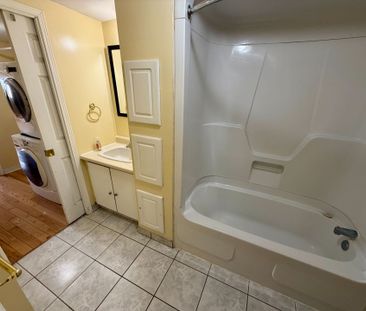 For Lease - 363 Marshall Crescent Unit# Basement, Orangeville, Ontario - Photo 4