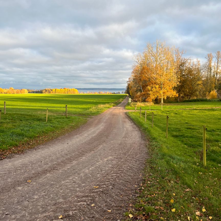 Ulvhults säteri, Hjo - Foto 1