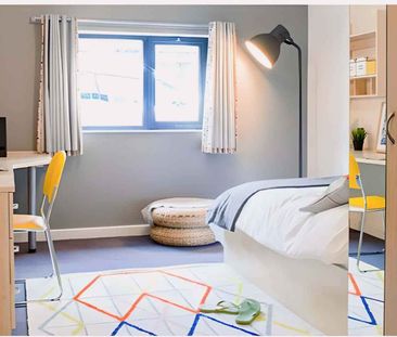 Large Standard Double Studio - Photo 6