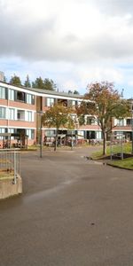 Kantarellvägen 12 lgh 1102 - Foto 4