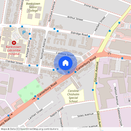 1B Claribel Street, NSW 2200, Bankstown