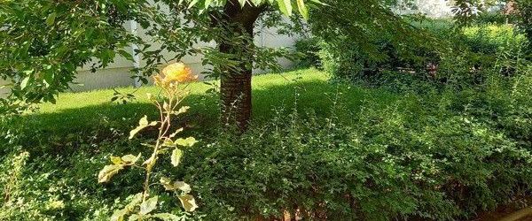 Kleine, gemütliche 3 Raumwohnung mit Balkon - Weihnachten in der neuen Wohnung?! - Foto 1