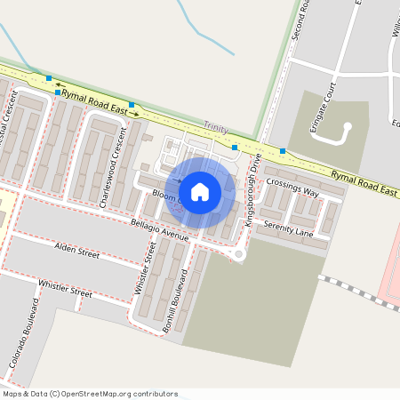 68 Bloom Crescent, Hamilton