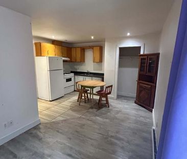 1 1/2 à aire ouverte - 755$ tout inclus - Photo 1