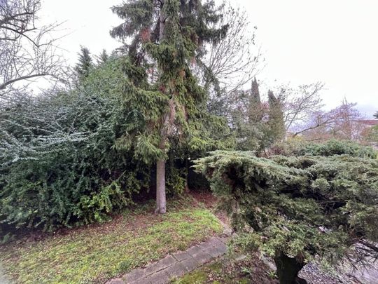 Appartement 1 Pièce 20 m² - Photo 1