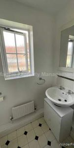 1 bedroom property to rent in Hatfield - Photo 4