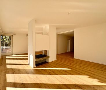 Appartamento in Affitto a Lugano - Photo 1