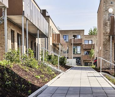 Modern og rummelig 4-værelses lejlighed i Aalborg Øst - Photo 3