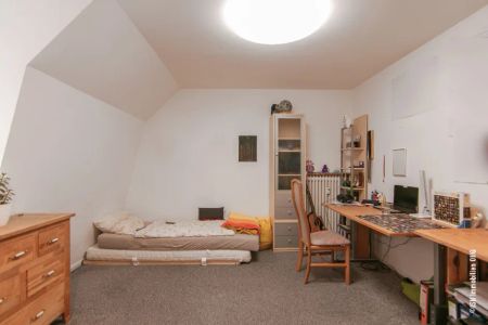 Kleine 1-Zimmer Wohnung in zentraler Lage von Horneburg - Photo 2