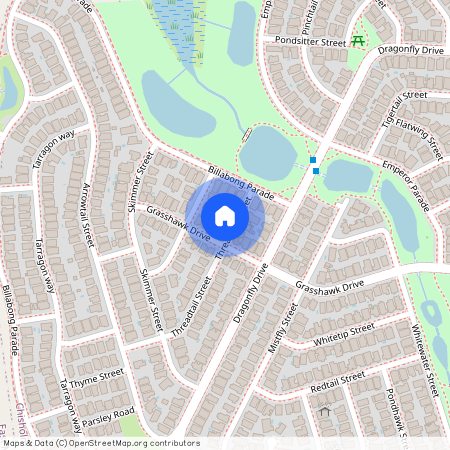 8 Threadtail Street, CHISHOLM 2322, New South Wales