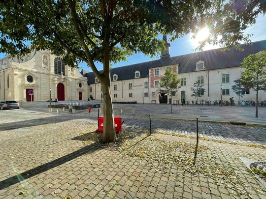 Rue du Barbâtre - Photo 1