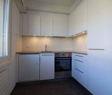 Nähe Erasmusplatz, moderne 2-Zimmer-Wohnung zu vermieten - Foto 1