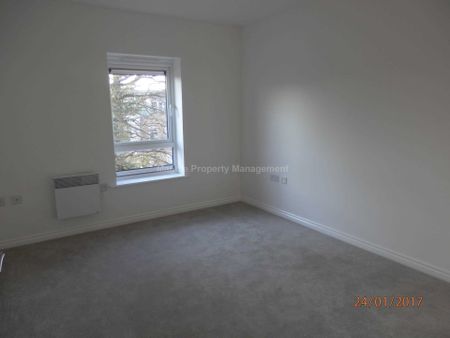 Price £895 pcm - Available 12/02/2026 - Unfurnished - Photo 3