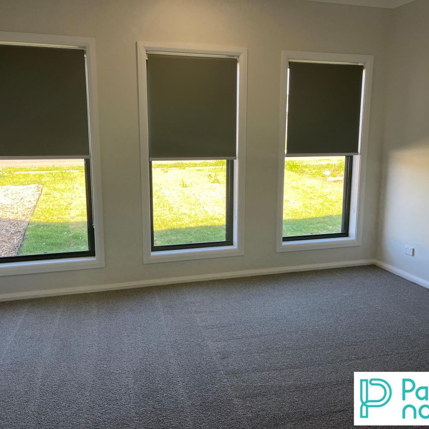 12 Hanbury Place, TAMWORTH NSW 2340 - Photo 1