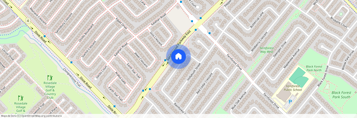 164 Rainforest Drive, Brampton