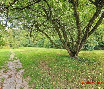 Prachtige villa met 5 slaapkamers en een grote tuin - Photo 1