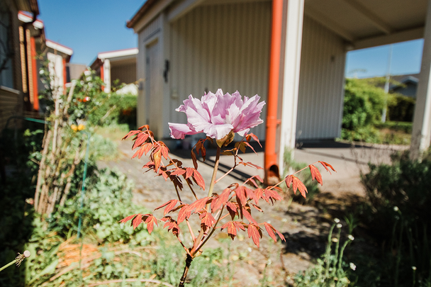 Kanalstigen 8, Bromölla - Photo 1