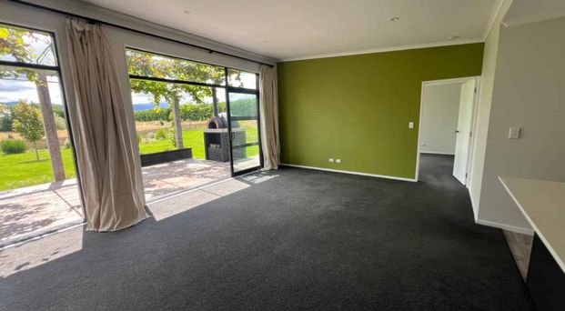 Near New 3 Bedroom Home - Photo 1