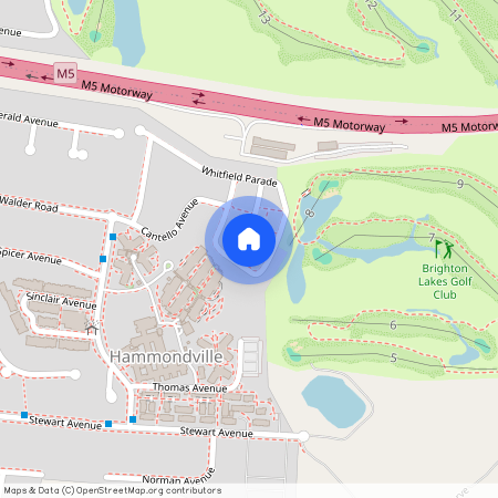 21 Northcott Boulevard, NSW 2170, Hammondville