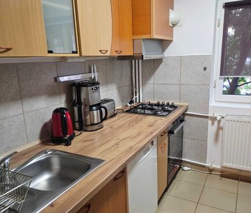 Brancoveanu etaj 1 cu parcare - Photo 3