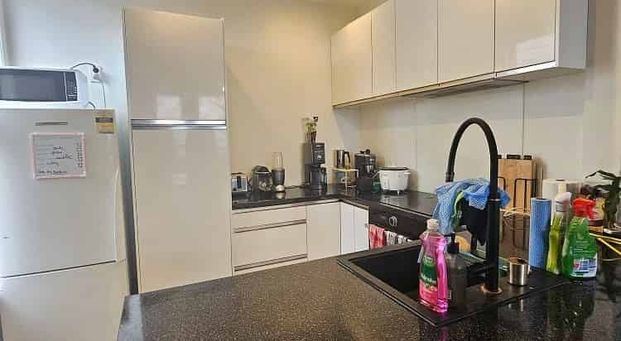 5 bedrooms 2 bathroom in city Thorndon - backyard - Photo 1