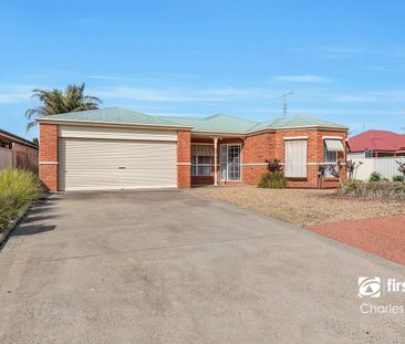 Dive Into Highlands Estate - Photo 5