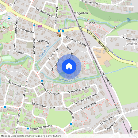 Alt-Ferrachstrasse 37 a, 8630 Rüti ZH