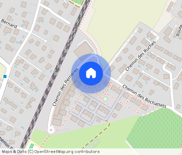 Spacious fully renovated villa with pool in Coppet - Photo 1