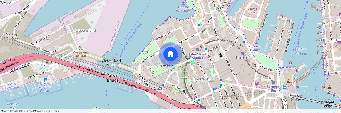 Level 2/45 Bowman Street, Pyrmont NSW 2009