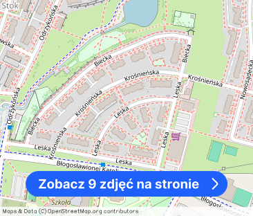 Dwupokojowe mieszkanie ul. Leska - Projektant - Zdjęcie 1