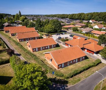 Dejlig studievenlig bolig i Odense S - Foto 1