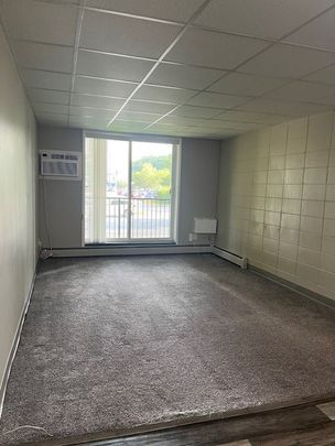 1 BDRM/1 BATH - 2514 LOUISE ST - Available JAN 1 - Photo 1