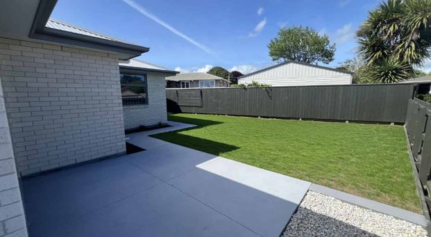 Brand new 3 bedroom in Vogeltown - Photo 1