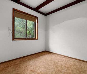 3 Bedroom Home Amongst the Treetops - Photo 6