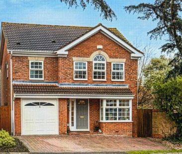 Property to rent - Photo 4